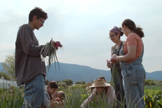 Cultivo aims to inspire and educate the next generation of Questa farmers, passing on local agricultural knowledge to sustain the community for years to come. (Photo by Mark Totte)