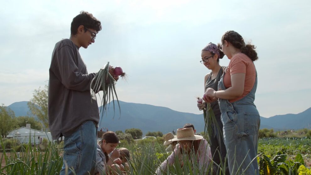 Cultivo aims to inspire and educate the next generation of Questa farmers, passing on local agricultural knowledge to sustain the community for years to come. (Photo by Mark Totte)